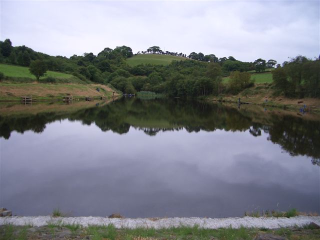 ca76sn3l.jpg